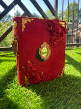 Load image into Gallery viewer, Victorian Ledger

